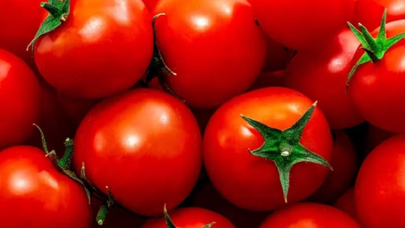 bea tomate funcion reguladora